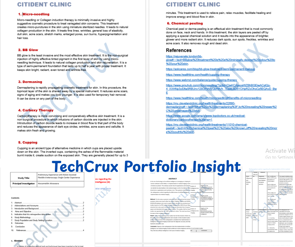 TechCrux portfolio insight